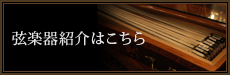 弦楽器紹介はこちら