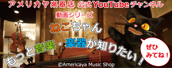 アメリカヤ楽器店 公式Youtubeチャンネル 動画シリーズ ねこちゃん もっと音楽・楽器が知りたい！