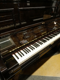 ≪チェロ≫ GEWA 2016年 ドイツ製