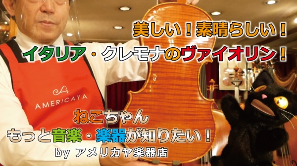 当店YouTubeチャンネル“新シリーズ”「ねこちゃん もっと音楽・楽器が知りたい！」スタート！