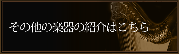 その他の楽器紹介はこちら