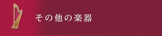 その他の楽器