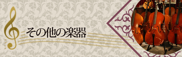 楽器ご紹介 ～弦楽器～